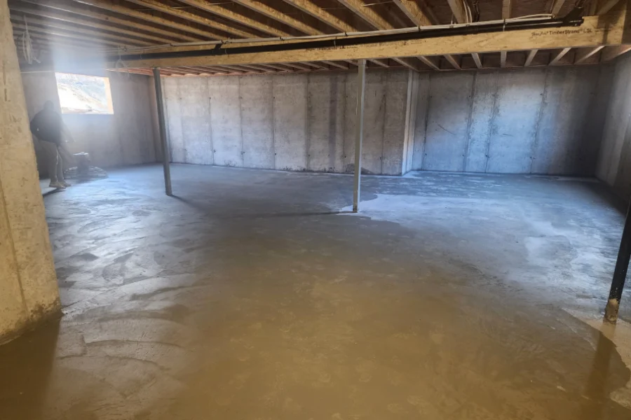 Basement Floor